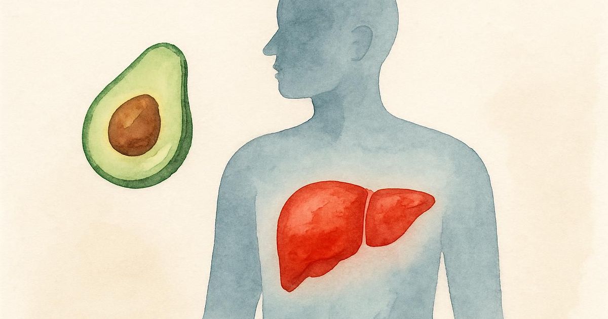 Keto a wątroba (NAFLD/MASLD) — stłuszczenie, odwracanie